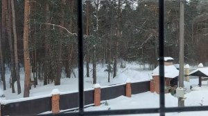 ПРИЗВАТЬ ВЕЗЕНИЕ. СИЛЬНЫЙ РИТУАЛ. ДЛЯ ВСЕХ. ВЕДЬМИНА ИЗБА⚜️ ИНГА ХОСРОЕВА