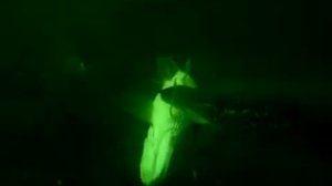 Щука ест щуку