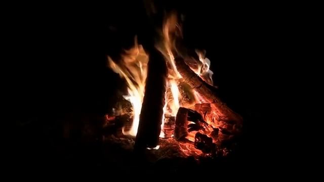 БОЛОТНЫЕ РАССКАЗЫ | Страшные истории