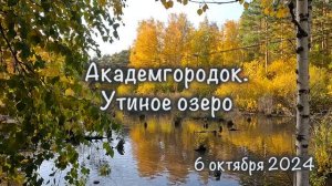 Академгородок. Утиное озеро