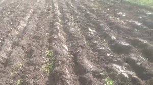 плуг Fiskars kh 314