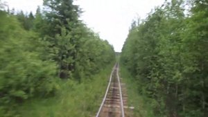 Белоручейская УЖД (2021.06.13)