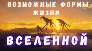 Расширение Понятия Жизни / Вселенная