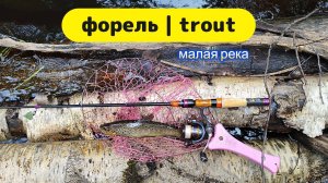 #troutfishing | Микро речка | Форель Ленинградской области |