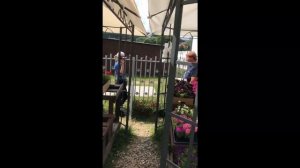 Какие цветы растут в огородах польских домов. @TatarkawPolshe