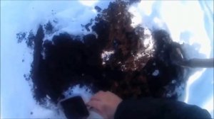 где в деревне накапать червей зимой