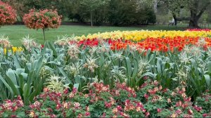 САДЫ США Сады  ЛОНГВУДА, одни из самых знаменитых и значимых ландшафтов США. Весеннее цветочное ШОУ