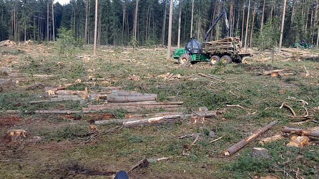 Форвардер Амкодор 2661-01 и Харвестер Амкодор 2551/Работа в делянке