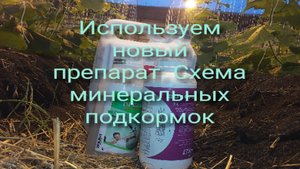 Обзор растений. Схема подкормок #землядел #огород