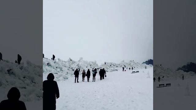 Город Зеленогорск, Курортный район Санкт-Петербурга смотреть онлайн