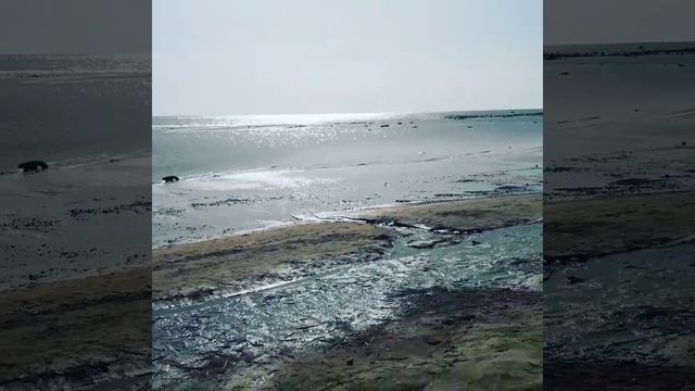 Город Зеленогорск, Курортный район Санкт-Петербурга смотреть онлайн