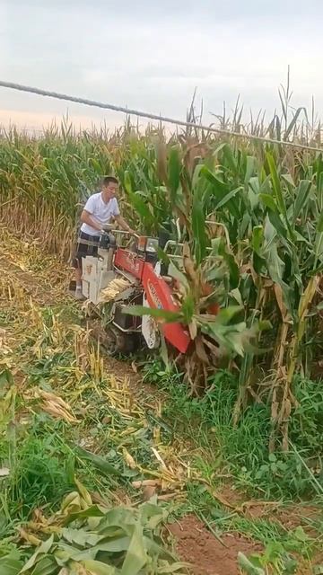 New Farm Machinery  #shorts #shortsvideo #agriculture
