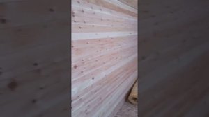 Выставка продажа дачные домики, бытовки. Новосибирск.