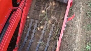 UNIA BOLKO - Prezentacja w pracy [PL]