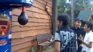 ИГРОВОЙ АВТОМАТ BOXER