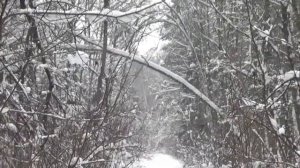 Настоящая зима. Сергей Чекалин