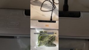 Вакуумный упаковщик Goody🔥 арт: 169486099