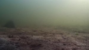 На глубине 2 метра . Подводные съёмки. Озеро Шейно