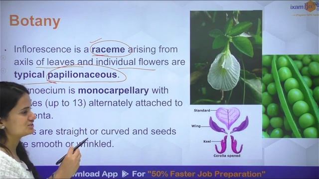 DSSSB SO Horticulture 2024 ||  Pea || DSSSB 10 min Series || By Sonal Mam