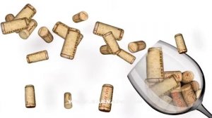 Beaujolais Noveau 2011