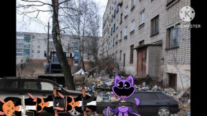 история про Кэт напа в России 🇷🇺 6 серия 3 сезон