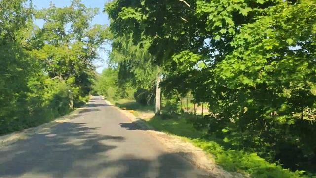 2021.06.07. Погода Петербург. Дальние предместья. Луга. 8:29. +21⁰.