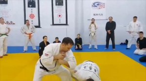 Nippon kenpo no kansetsu-waza Self Defense 日本拳法の関節技集