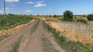 Не можем найти Монастырище.Едем уже 9 часов из запланированных 2,5 часа