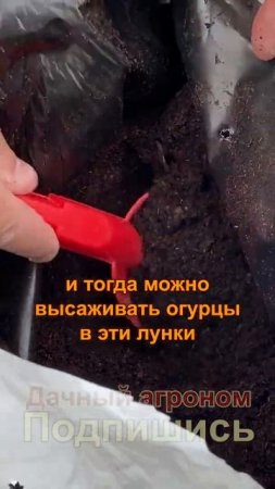 НЕ ДЕЛАЙТЕ ТАК если хотите хороший урожай