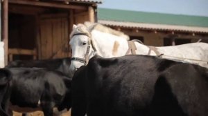 Не в своей Тарелке  Виталий саутёнков