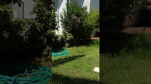 Green Nature Resort Hotels, Мармарис, июль 2021. Территория отеля ч.2