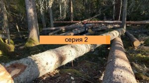Окорка бревен с помощью лопаты для коры и скобеля | 2.0 | - Серия