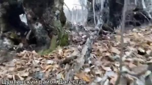 Прогулка в Цунтинских горах Дагестана