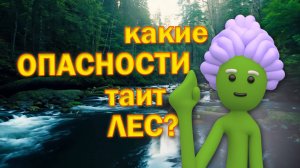 ❗ХОЧУ УЗНАТЬ❗Безопасность в городе и на природе🚦🔴🚗👦🏠🌳🕷️