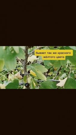 #семейныйканал #отдых #отпуск