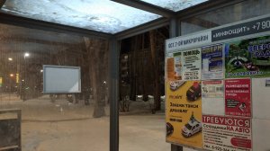 Чего не хватает #Ачинску: #новые #рейды по городу,в котором #хочется #жить. Остановки с загадками