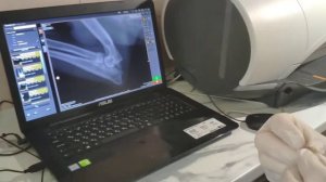 Дисплазия локтевого сустава собак