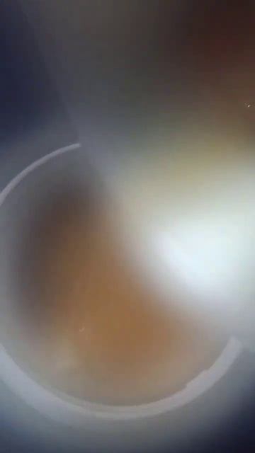 pepper mutton soup🥣#yummy soup #shortvideo смотреть онлайн