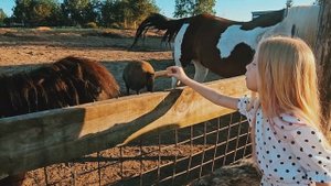 ВЕРА август 2024