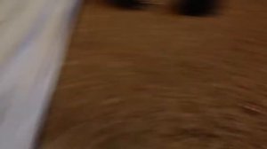 Обзор pcp пневматики + стрельба