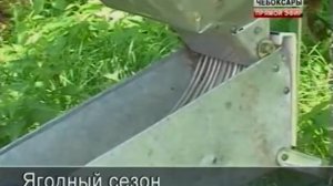 Устройство для очистки ягод от мусора. ТВ