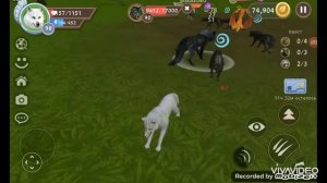 🎁||{Wild craft}|| прокачка волка до 100 уровня|| грандмастер в вилд крафт||•😈