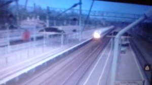 Сапсаны на станции окуловка