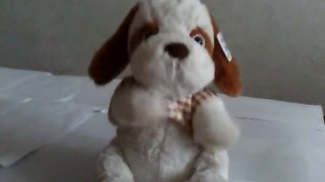 собака смотреть онлайн