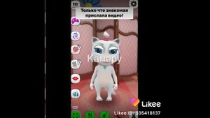 что говорит моя говорящая кошка в 3:00 часа ночи 😨🗿