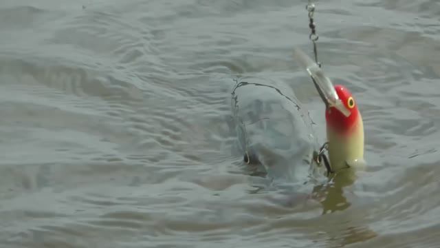 Мои уловистые воблеры