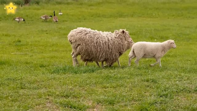 Домашние животные для детей Как говорят животные Корова Лошадь Звуки животных смотреть онлайн