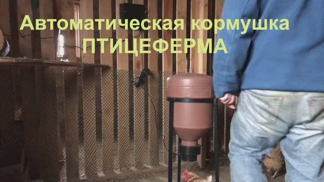 Автоматические кормушки для курятников ПТИЦЕФЕРМА Российского производства