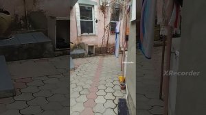 я и мой друг