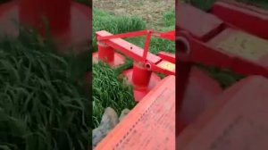 Польская 2-х дисковая роторная косилка Лисицки 1,35м.